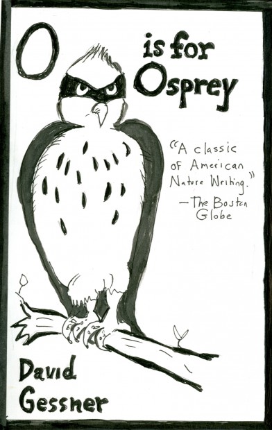 o for osprey029